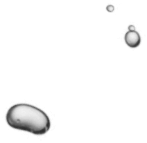 https://canadiandetailingcar.com/wp-content/uploads/2021/10/img-bubbles-hero-4.png